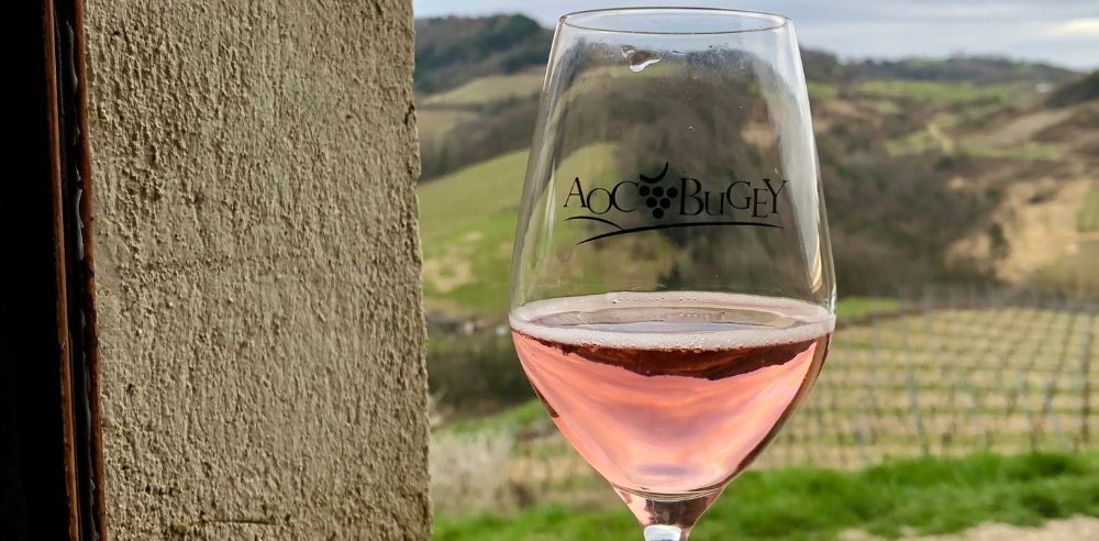 Bugey-style red sparkling wine with a vineyard view. Christopher Howard Glass of ruby sparkling Bugey-Cerdon wine held against a vineyard backdrop in eastern France, showcasing méthode ancestrale style.